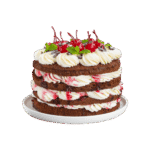 Four-layer chocolate cake