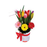 Tulipanes en Box