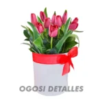 Tulipanes