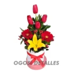 Tulipanes